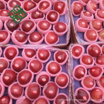 china red star apple maçã dourada deliciosa